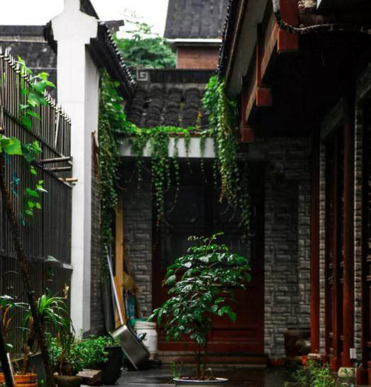 梅雨季節(jié)，養(yǎng)花怎么做？